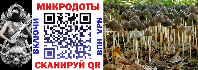 Псилоцибиновые грибы Psilocybine cubensis  даркнет клад  Железногорск 