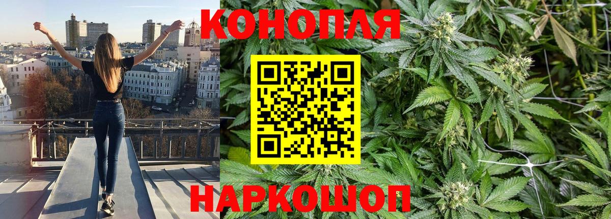Канабис конопля  Бошки марихуана THC 21%  Вход с VPN  Конопля AK-47  Железногорск 